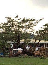 Tajfun Phanfone na ostrově Leyte na Filipínách vyvracel stromy