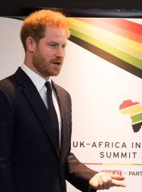 Princ Harry (vlevo) odletěl do Vancouveru poté, co se v pondělí ještě setkal s britským premiérem Borisem Johnsonem a zúčastnil se v Londýně britsko-afrického summitu