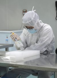 Technik testuje vzorky na koronavirus