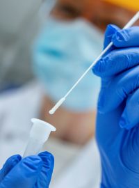 Testování na koronavirus probíhá například pomocí metody PCR výtěrem z nosních dírek