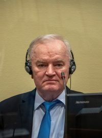 Trestní tribunál pro bývalou Jugoslávii potvrdil Mladićovi doživotní trest