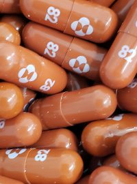 Podle expertů by mohly nové pilulky znamenat průlom v boji s nákazou