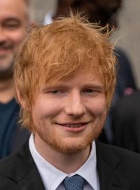Dědicové Gayeova spoluautora tvrdili, že jim Sheeran, Warner Music Group a Sony Music Publishing dluží peníze za porušení autorských práv