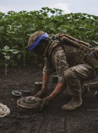 Ukrajinský voják při odminování půdy v Doněcké oblasti