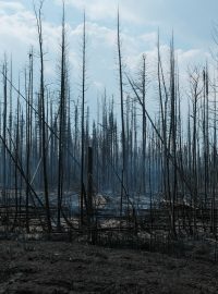 Následky rozsáhlých lesních požárů v Kanadě