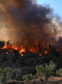 Požár v řecké oblasti Bojótie