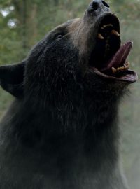 Scéna z filmu Medvěd na koksu