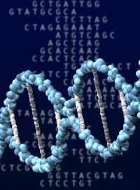 DNA (ilustrační foto)