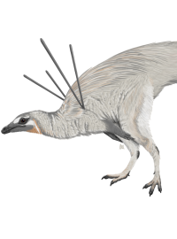 Vědci popsali dinosaura, zvaného Ubirajara jubatus, který se pyšnil chlupatou hřívou.
