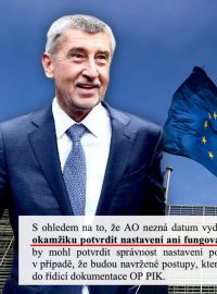 Andrej Babiš (ANO) dlouhodobě střet zájmů popírá. „Agrofert neovládám ani neřídím. Proto dlouhodobě a opakovaně tvrdím, že střet zájmů nemám a kvůli údajnému střetu zájmů nebude Česká republika vracet žádné peníze.“