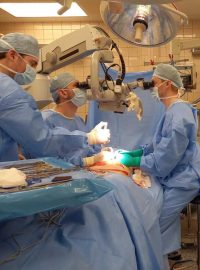 Rekonstrukce volným lalokem se využívá především u pacientek, které o ňadro přišly kvůli rakovině a nehodí se pro ně implantát
