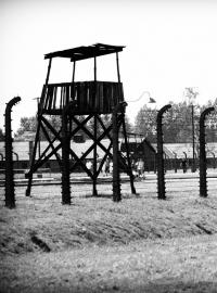 Koncentrační tábor (ilustrační foto)