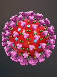 Koronavirus SARS-CoV-2 způsobující nemoc covid-19 znázorněný na trojrozměrném modelu.