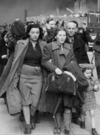 Židé z varšavského ghetta zajatí po potlačení povstání, odvádění na náměstí Umschlagplatz k deportaci. Fotografie zachycená mezi 19. dubnem a 16. květnem 1943, na ní Novolipská ulice, v pozadí brána ghetta.