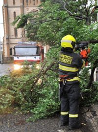 Fotografie ze Strossmayerova náměstí, kde v neděli strom spadl na elektrického vedení.