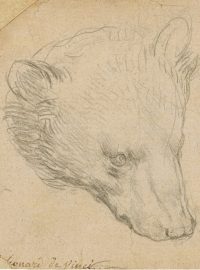 Vzácná kresba medvědí hlavy od italského renesančního umělce Leonarda da Vinciho se v londýnské aukční síň Christie&#039;s vydražila za 266 milionů korun
