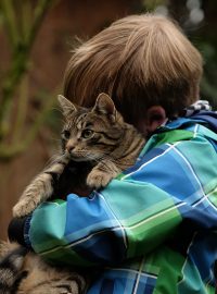 Dítě s kočkou (ilustrační foto)
