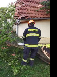 V souvislosti s vydatným deštěm a bouřkami hasiči zasahovali i u spadených stromů
