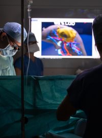 Virtuální realita pomáhá lékařům v IKEMu při složitých operacích