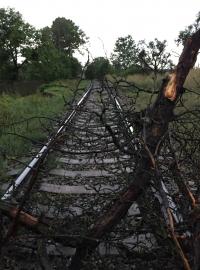 Bouřky lámaly stromy, které zkomplikovaly železniční dopravu
