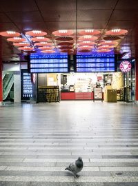 Sobotní dopoledne, Praha hlavní nádraží. Několik cestujících doplňují tři lidé z ochranné služby a holub.