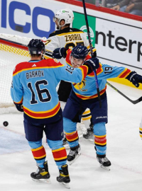 Florida Panthers slaví poté, co vstřelili branku během druhé třetiny zápasu NHL proti Boston Bruins
