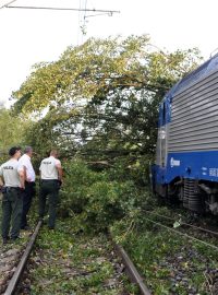 Vlak EC 173 najel 10. srpna večer u slovenské obce Brodské do spadlého stromu