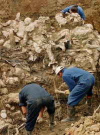 Celkový počet obětí srebrenického masakru, který Mezinárodní soudní dvůr OSN označil za genocidu, se dodnes jen odhaduje, nejčastěji se hovoří o 8000 mrtvých