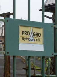 V Jánské na Děčínsku v pobočce společnosti Proagro Nymburk se objevila v jedné z hal salmonela, proto ve středu začala Státní veterinární správa s usmrcováním 40 800 nosnic