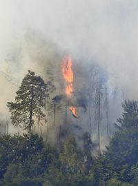 Požár lesa v Národním parku České Švýcarsko u Hřenska