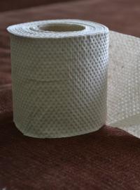 Toaletní papír (ilustrační foto)