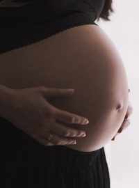 Těhotenství (ilustrační foto)