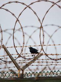 Kuba, záliv Guantánamo, plot obklopující Camp Delta