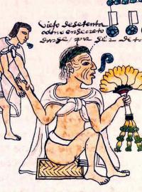 Onemocnění tehdy mělo rychlý průběh. Provázel je rychlý nástup vysokých teplot, bolesti hlavy a následné krvácení z úst, očí a nosu. Smrt přišla během tří až čtyř dnů. (Malba aztécké ženy z 15. století, ilustrační snímek).
