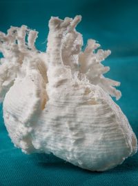 Model dětského srdce vyrobený pomocí 3D tiskárny (ilustrační foto).
