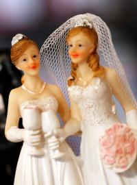 Sňatek homosexuálního páru (ilustrační foto)