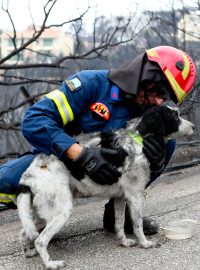 Hasič dává vodu psovi, které vytáhnul z hořícího domu v řeckém Máti, 24. červenec 2018