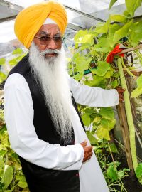 Raghbir Singh Sanghera ve svém skleníku.