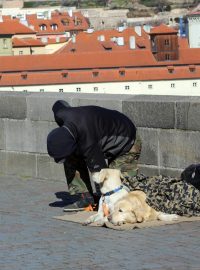 Náměstek primátora Pospíšil (TOP 09) chce zabránit tomu, aby žebráci či pouliční umělci zneužívali psy jako způsob, jak v lidech vzbudit emoce a vymámit z nich více peněz (ilustrační foto)