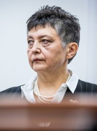 Džamila Stehlíková u soudu kvůli svým výrokům na adresu prezidenta Miloše Zemana