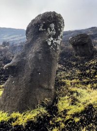 Požár poškodil některé z ikonických soch na Velikonočním ostrově, známých jako moai