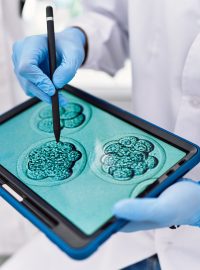 Odborníci zkoumají na tabletu snímky embryí