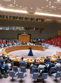 Rada bezpečnosti OSN se tento týden neshodla na prodloužení mechanismu, který umožňoval přepravu pomoci