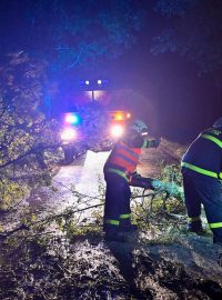 Hasiči na Jihlavsku odstraňují po bouři ze silnice spadlé stromy