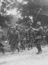 Ruští vojáci v německém zajetí během operace Barbarossa.