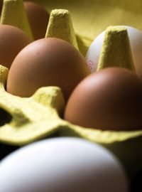 vejce, potraviny, ilustrační foto