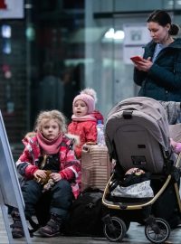 Denně nyní kvůli ruskému napadení Ukrajiny do Česka přichází podle ministra vnitra Víta Rakušana (STAN) 5000 migrantů