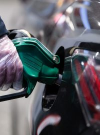 ceny pohonných hmot