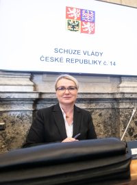 Jednání vlády ČR
