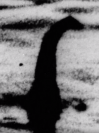 První známá fotografie údajné lochnesské příšery